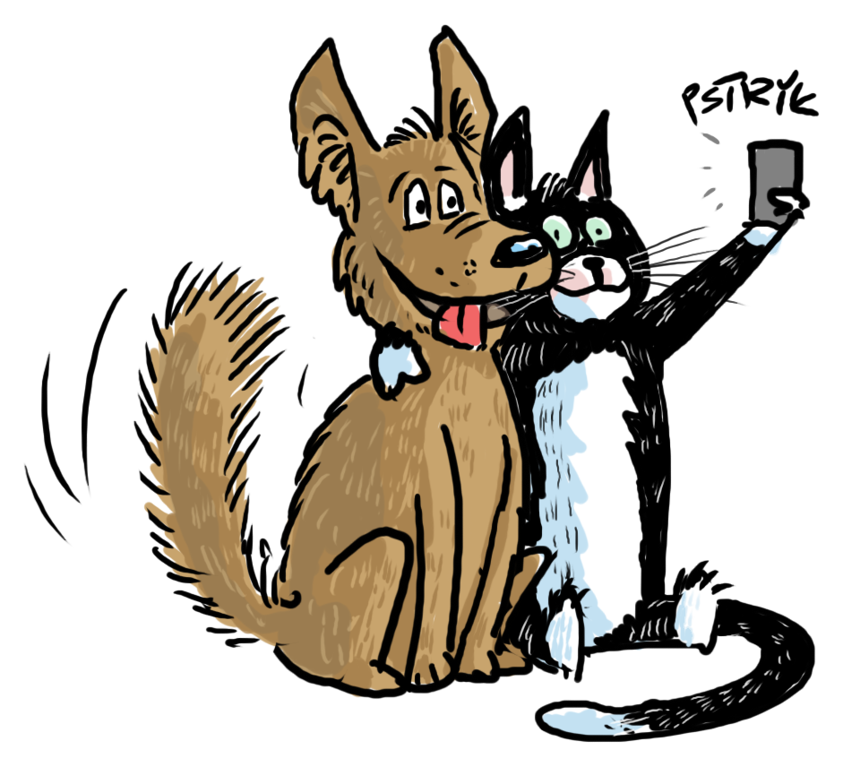 Ilustracja: kot i pies