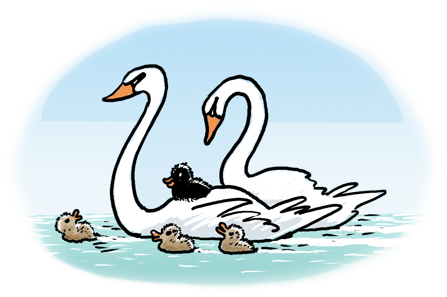 Ilustracja: łabędzie