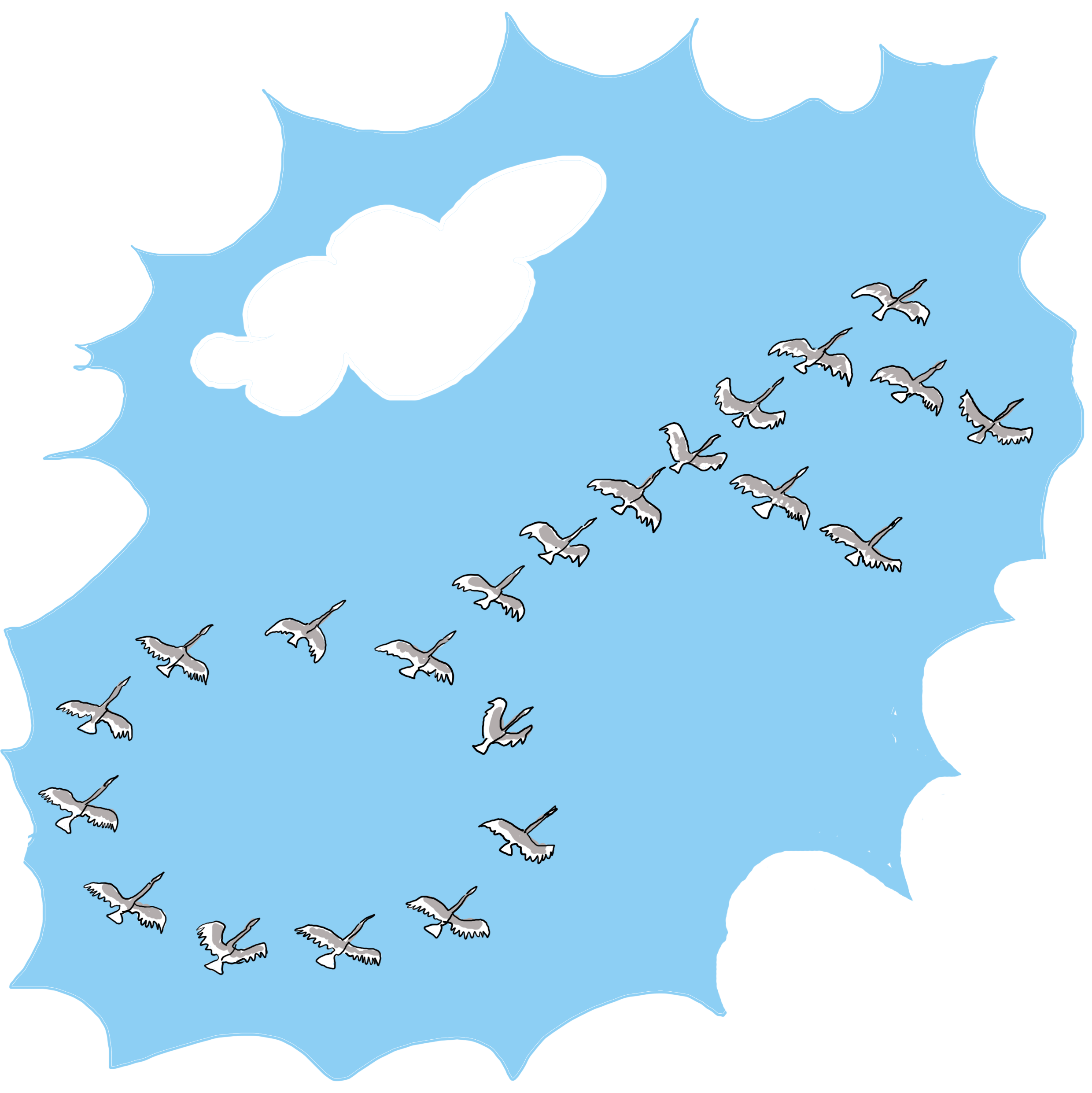 Ilustracja: klucz ptaków